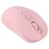 Datalife M273 wireless mouse