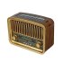 Golon Radio Speaker model RX-BT929SQ