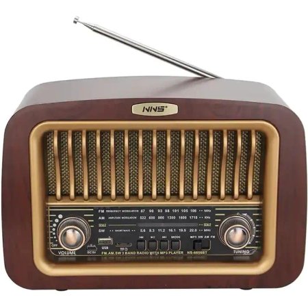 Radio Speaker model NS-6656BT