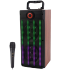 Sing-E portable speaker JQS9401