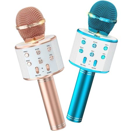 GODFREY speaker microphone model WS-858