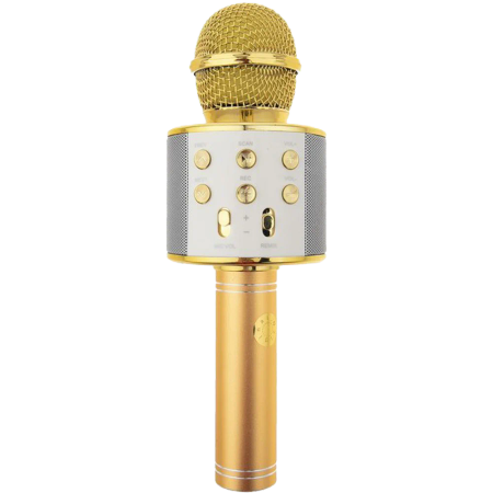 GODFREY speaker microphone model WS-858