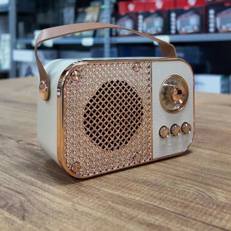 Portable radio speaker model M24