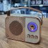 Portable radio speaker model M24