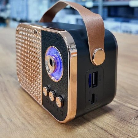 Portable radio speaker model M24