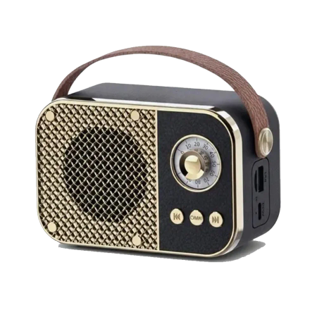 Portable radio speaker model M24