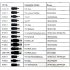 Yesido laptop charger model CG11E, capacity 65 watts