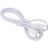 Verity Type-C to Type-C Charging Cable Model CB-3170